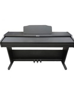 Roland-rp-102