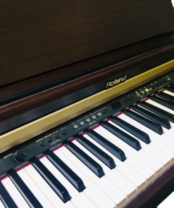 roland-hp-2