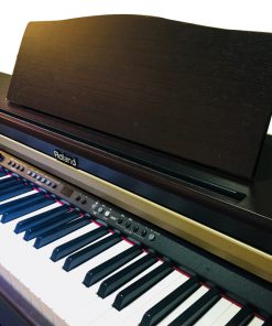 roland-hp-2