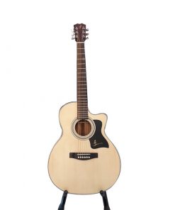 Guitar-acoustic